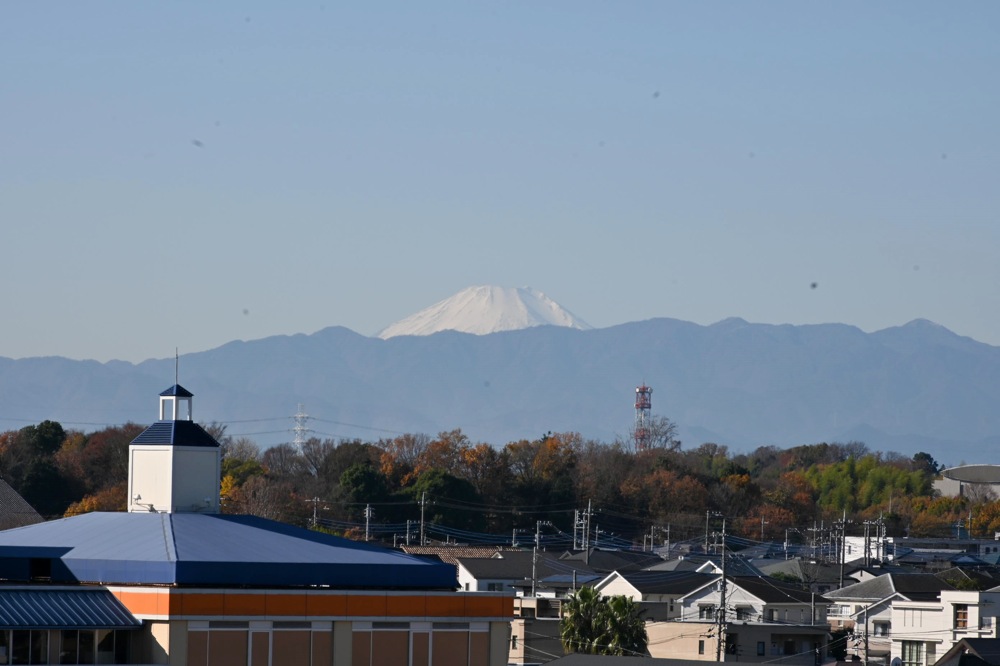 園外保育 山田富士公園（2022.12.8）